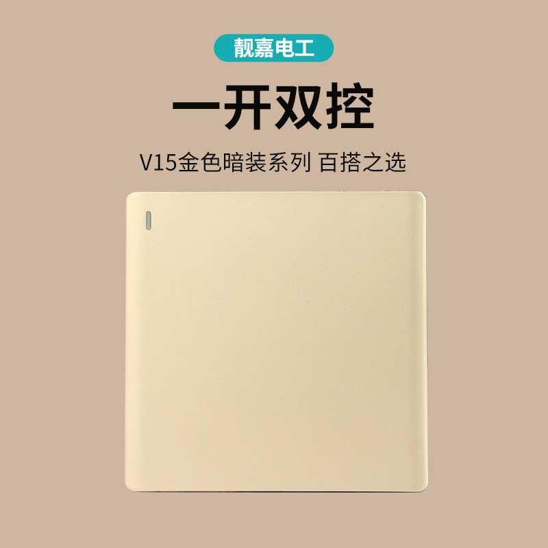 V15 one-open double-control switch