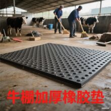 �ţȦ�����|��A�c����y��ĥ���ظ�����ɫ�z�|�R���iȦ�����؉|