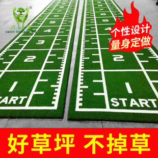 Gym Artificial Turf Carpet Mat Scale Artificial Turf Fake Lawn Gymgrass Carpet Sports Mat