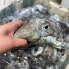 ��ɽҰ�����\��֦���r�ك����ԭ֭�o��ī�~�o�ݰlĿ�~��S���]