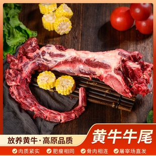 ���rţβ��ţβ3�� �Sţ������ţβ��ԭ�Ў��⌚���oʳţ����]