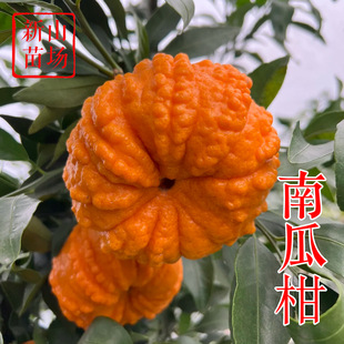 ���Ϲϸ��硿��Ʒ�N�������^�����ϹϽۗո������ٽ��Ә���