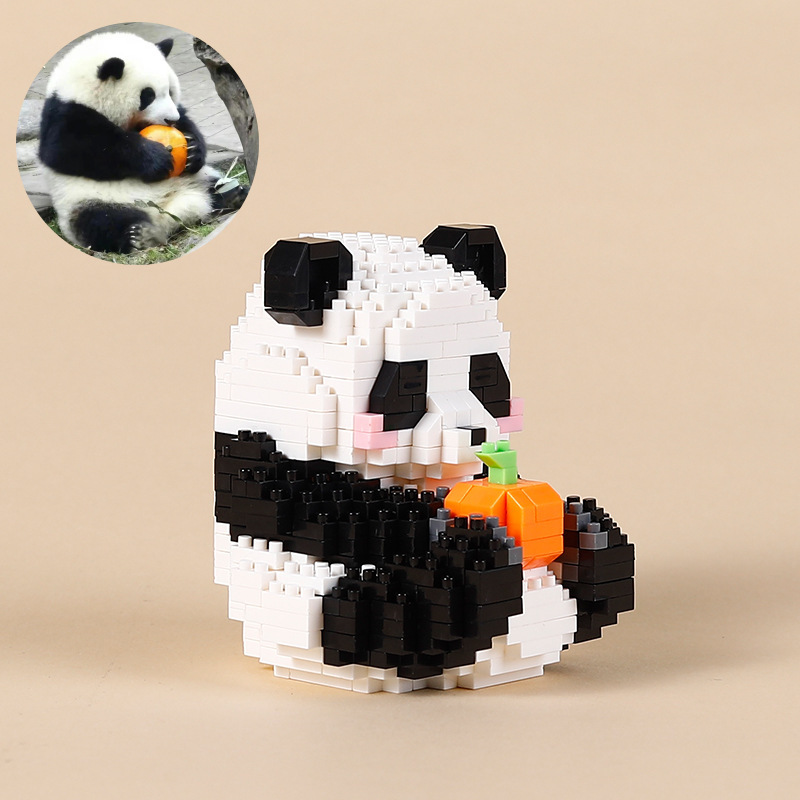Bông hoa Ôm Bí Ngô 488PCS