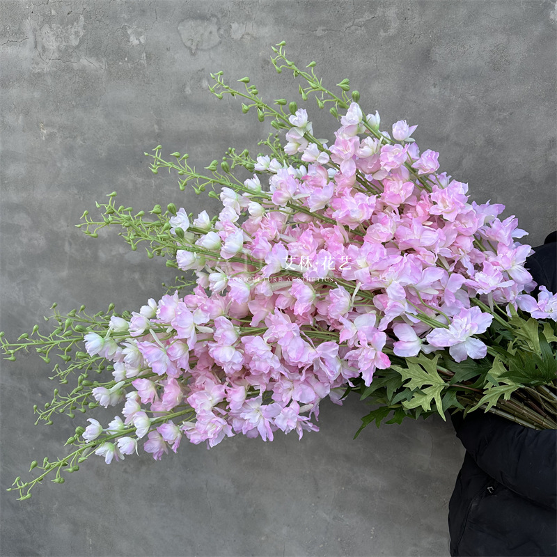 Extra large delphinium