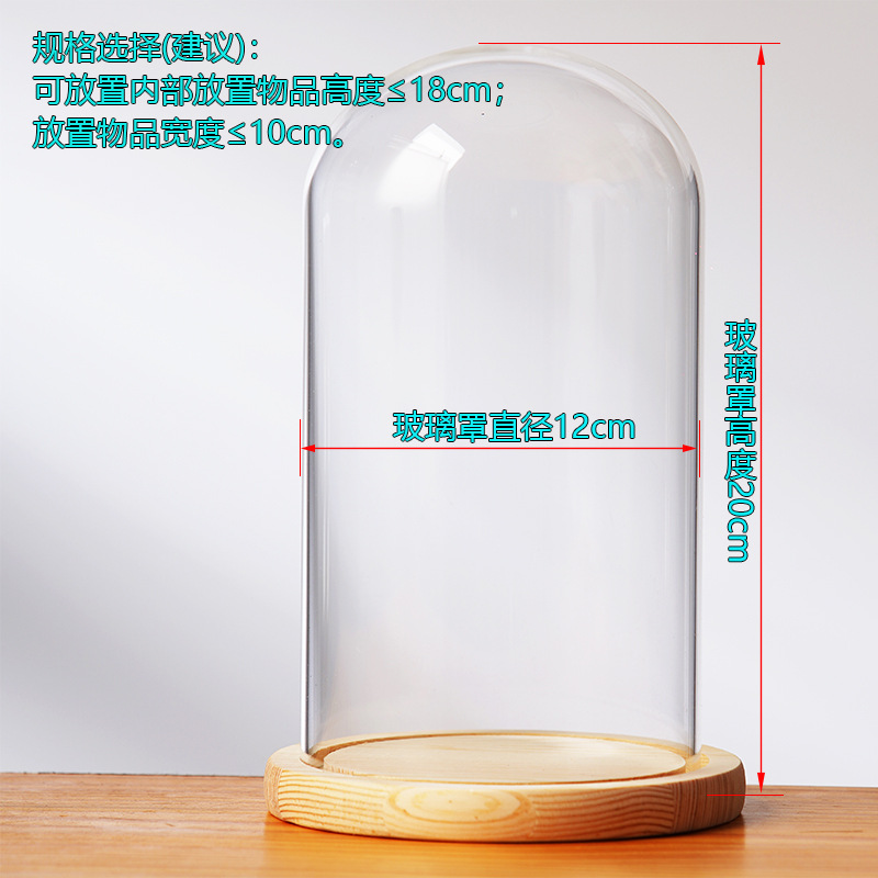 Cubierta cilíndrica de vidrio transparente sin lámpara de madera de estilo inmortal cubierta de polvo de flores hecha a mano decoración creativa de escritorio de bloques
