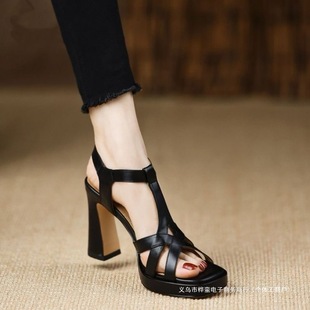Open Toe Sandals Women's Waterproof Platform 2025 Summer New Arrival One Word Buckle Strap with Skirt Not Tired Feet High Heels Thick Heel