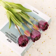 羳ܛzPE㻨z㻨滨ָ5^