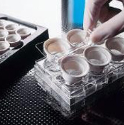 Netwell附件 Reagent disk