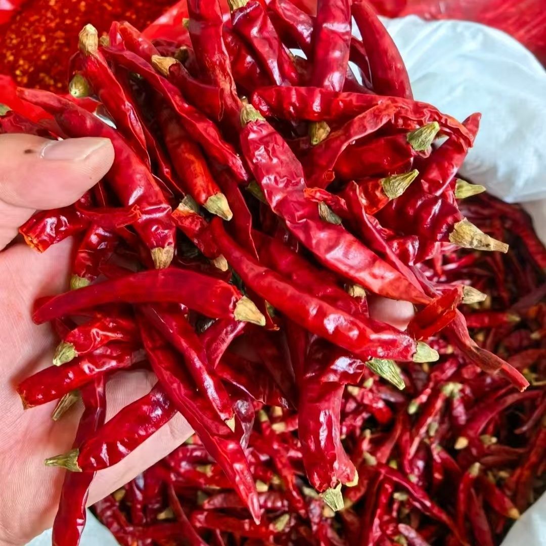 干辣椒农家批发新一代特辣香辣朝天椒魔鬼椒干红辣椒晒干微辣辣椒