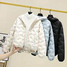 �p����q���̿�С����2025�¿���Bñ�r�ж������q��ů�p������