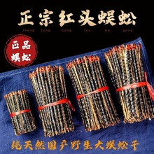 中药材蜈蚣蜈蚣干红头蜈蚣全虫蜈蚣粉泡酒滋补各种规格批发零售