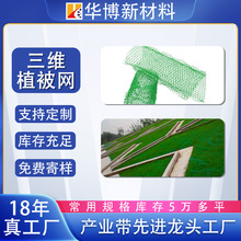 �������S�����W�|nss�ӽ�ֲ�ݹ������B�ޏ��o�¾W�������Sֲ���W