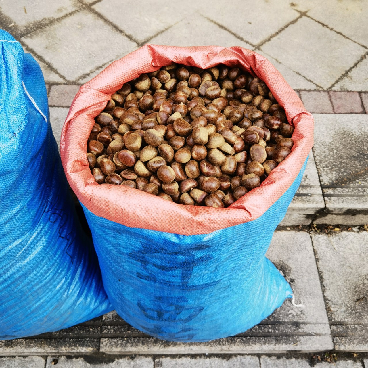 批发板栗包装袋 特厚编织袋 板栗袋 物流转运袋 货物打包袋 颜色