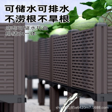 50�����ڿ羳�N���仨���L���λ������ϷNֲ�������@ˇ�����̨