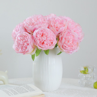 ���컨���l����5�^����ĵ���� ��c������������������ĵ������