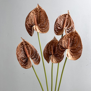 ����PU�ָл��Q�Ƽt�ƻ��T���Ƹ�Ʒ�͏d�Ƶ�ǰ̨��ˇ�ƷPU�t���~