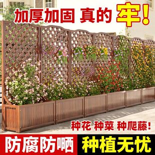 ̼������ľ�������ͥԺ�̨��ľ�����Ӹ���W��řڇ��������ټ�