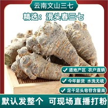 云南文山（无剪口）滑头春三七14头16头23头29头40头可直播打粉