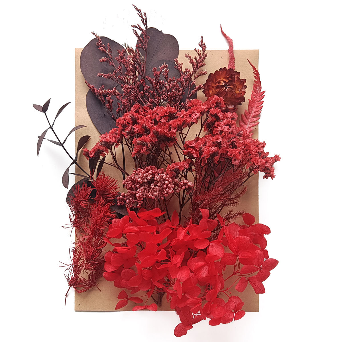 Flor seca flor eterna marco de fotos en relieve paquete de material combinación paquete de flores aromaterapia ventilador A5 bolsa de fábrica al por mayor transfronteriza