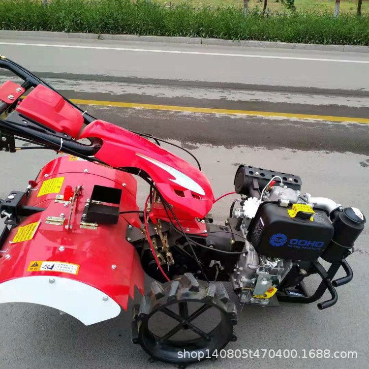 u=629344243,3017183735&fm=