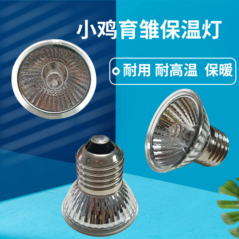 Insulation Lamp for Quail Chicks, Small Chicken Warming Lamp, Reptile Heating Lamp, Automatic Temperature Control, Farm Chick Brooding Warming Lamp