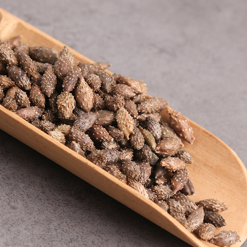 Cang Er Zi Dried Xanthium Fruit 500g Stir-Fried De-Spined Cocklebur Traditional TCM Herb quality and texture