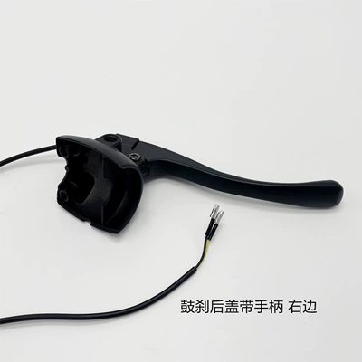 Turtle Kingdom Standard Electric Vehicle Switch Rear: Other Electric Vehicle Accessories - drum-brake-rear-cover-with-brake-lever-right