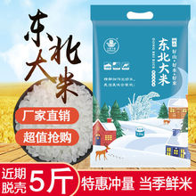 东北大米珍珠米5斤小袋包装批发农家香米当季新米圆粒粳米粥米