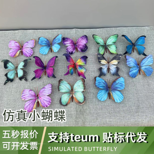 ����С������ֻ���l���������DIY�bՇ������w�����ɴ��l