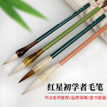 �t�� ë�P����Ǻ�ë�P���}/�o�m/���Q/�����������ó��W�����P