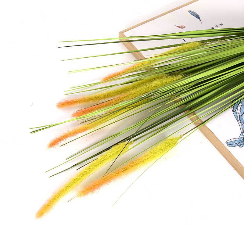 Cola de perro bicolor verde