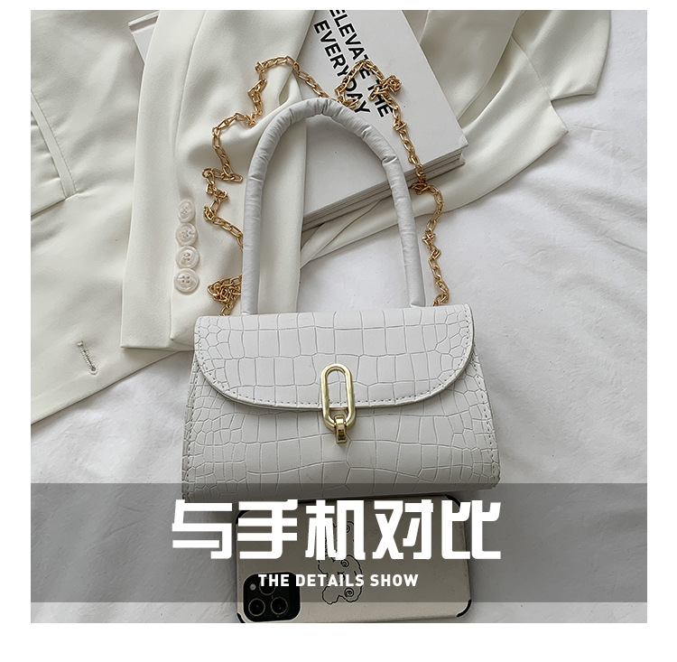 fashion embossed chain crossbody small square bagpicture22