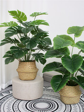 ٻ͏d[OطGֲԔ[҃bֲ