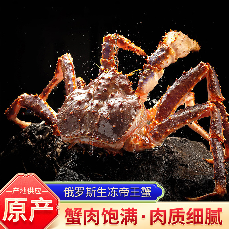 俄罗斯生冻帝王蟹批发 餐饮鲜活冷冻生冻海鲜熟冻超大皇帝王蟹