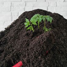 腐叶土种菜土种花土山泥土花土营养土通用土 养纯泥土通用型