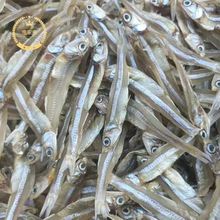 淡水小鱼干 地摊 电商 淡干白帆鱼干 公干鱼干 9成干白凡鱼干干鱼