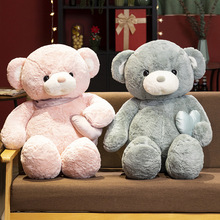 网红新款抱心款丹丹熊创意毛绒玩具公仔玩偶儿童安抚娃娃陪睡泰迪