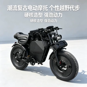 Black Warrior HIMOTO electric bicycle, wide-wheel pedal-assisted bike, European export electric motorcycle