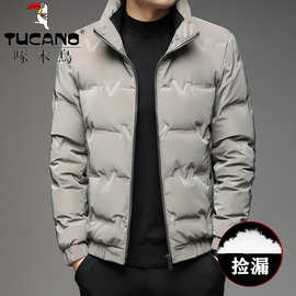 啄木鸟春节羽绒服男款立领轻薄保暖鸭绒外套短款大码防风冬装上衣