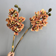 �߼��д�ޥ�m����|���m���^�m����ʽ�ٻ���Ʒ�|�ָз����m��