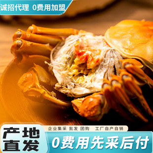 �K��ꖳδ��lзԴ�^���S֧����Դ�\����������0�M���؛��؛���