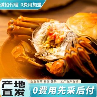 苏州阳澄大闸蟹源头工厂支持溯源诚招渠道代理0费用铺货先货后款