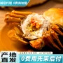 苏州诚招源头大闸蟹