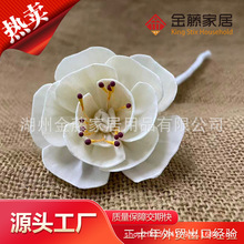 ͨ�ݻ�-�o����޹�]�l��ɢ�����ͥ��޹