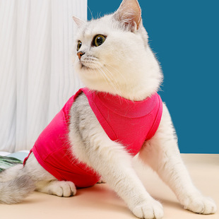 Cross-Border Cat Clothing, Female Cat Sterilization Clothing, Anti-Licking, Breathable, Elastic, Post-Weaning Clothing, Pet Sterilization Clothing, Cat Recovery Clothing