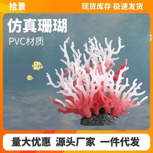 ����������ɺ��ҹ��ɺ���~���쾰�[�����ϼ�ɺ��ˮ����溣��ɺ��