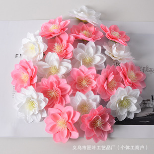���滨ë���ɻ������Y�b������l���ֶY�b��^Ь��ñ�����