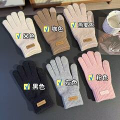 手袋冬にベルベットを厚くして保温した学生の美ラードは防寒運転をして凍結防止タッチパネル冬の綿手袋を運転した