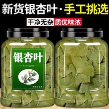 银杏叶中药材正品银杏叶片干花叶泡水非野生特级白果树叶养生茶叶