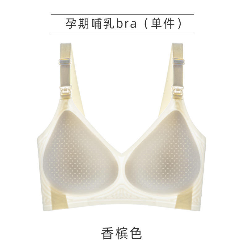 샴페인